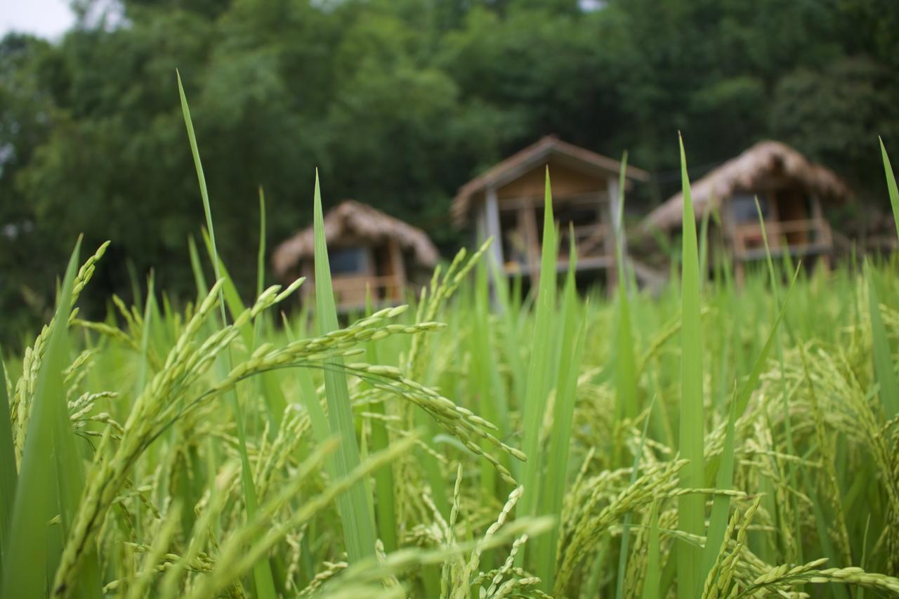 Little Mai Chau Home Stay 외부 사진