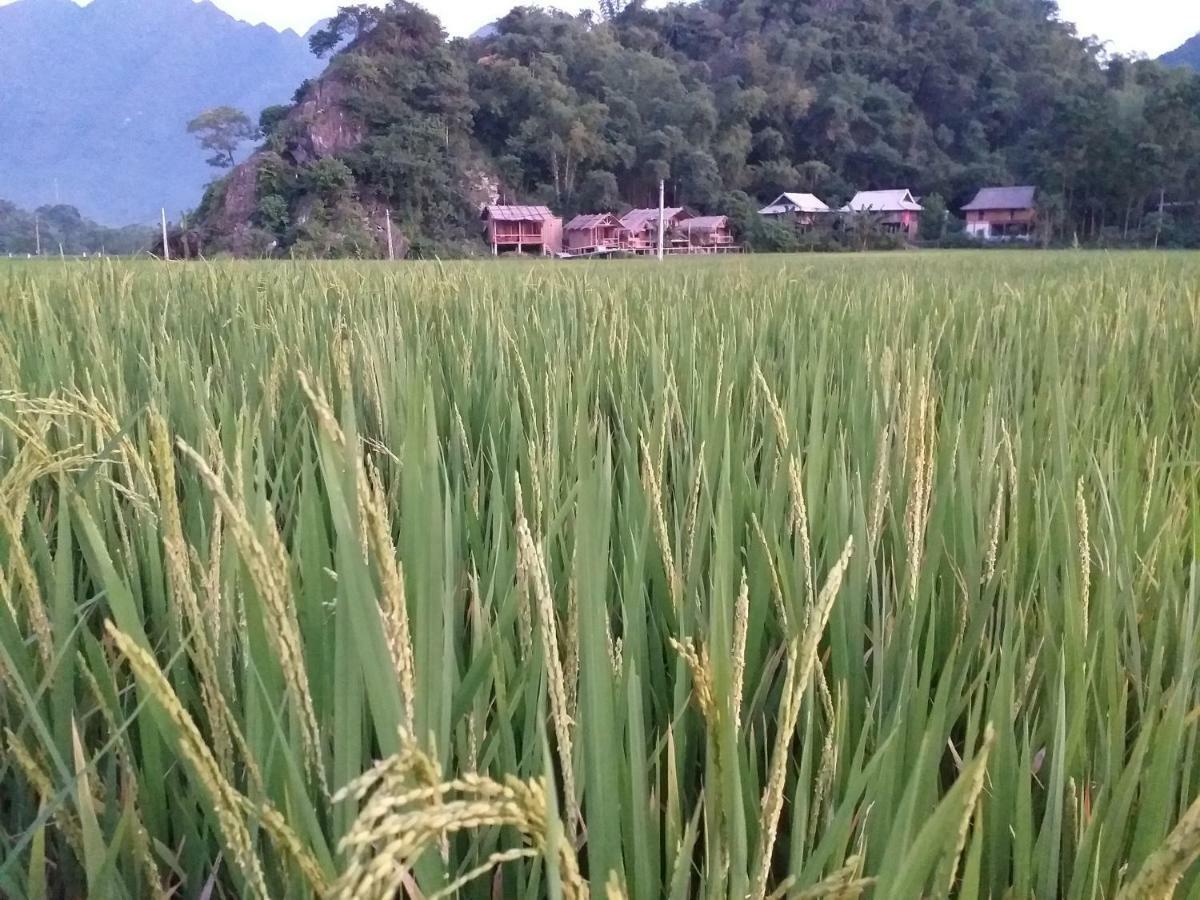 Little Mai Chau Home Stay 외부 사진